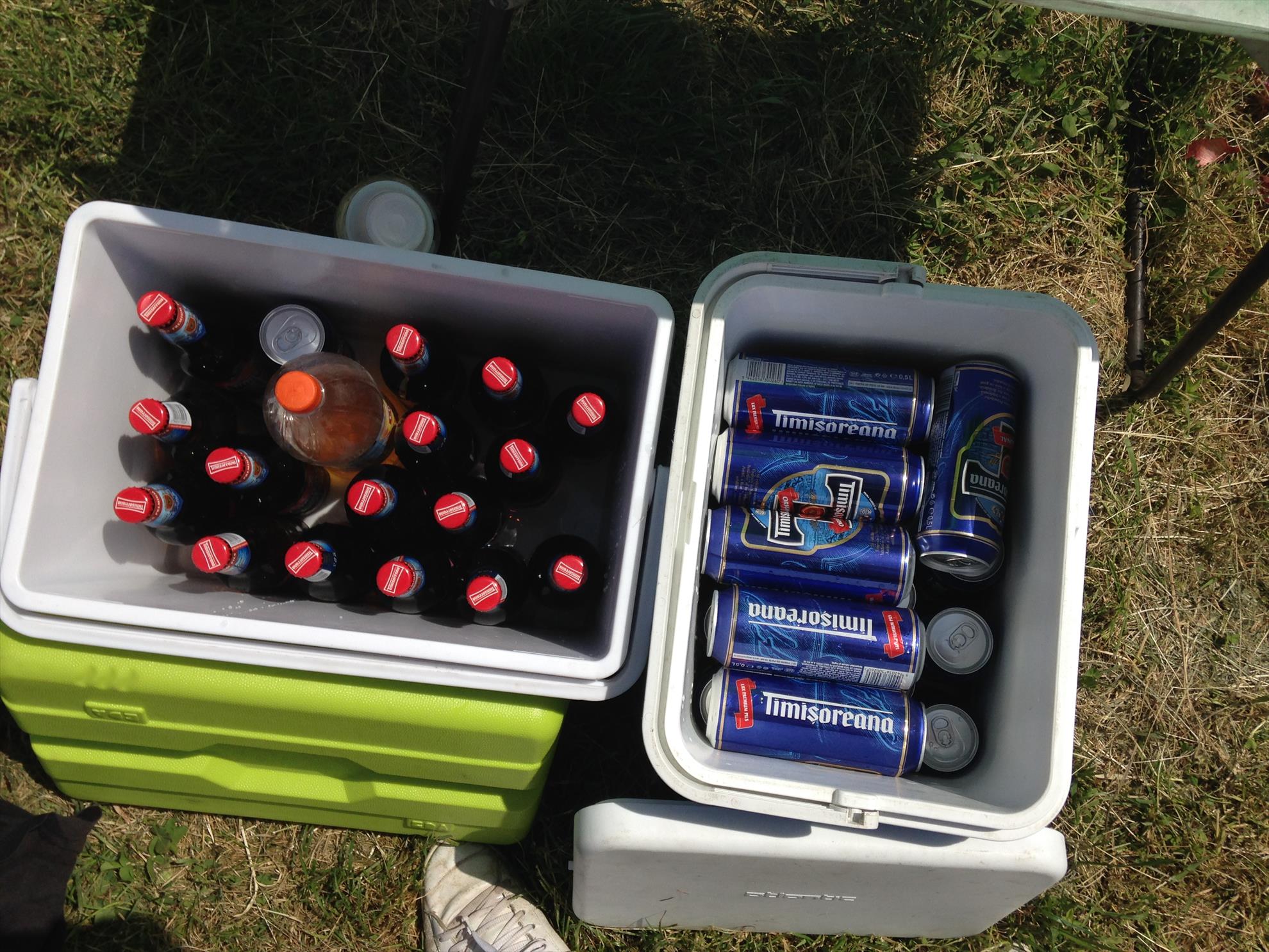 corbeanca - img0224.jpg